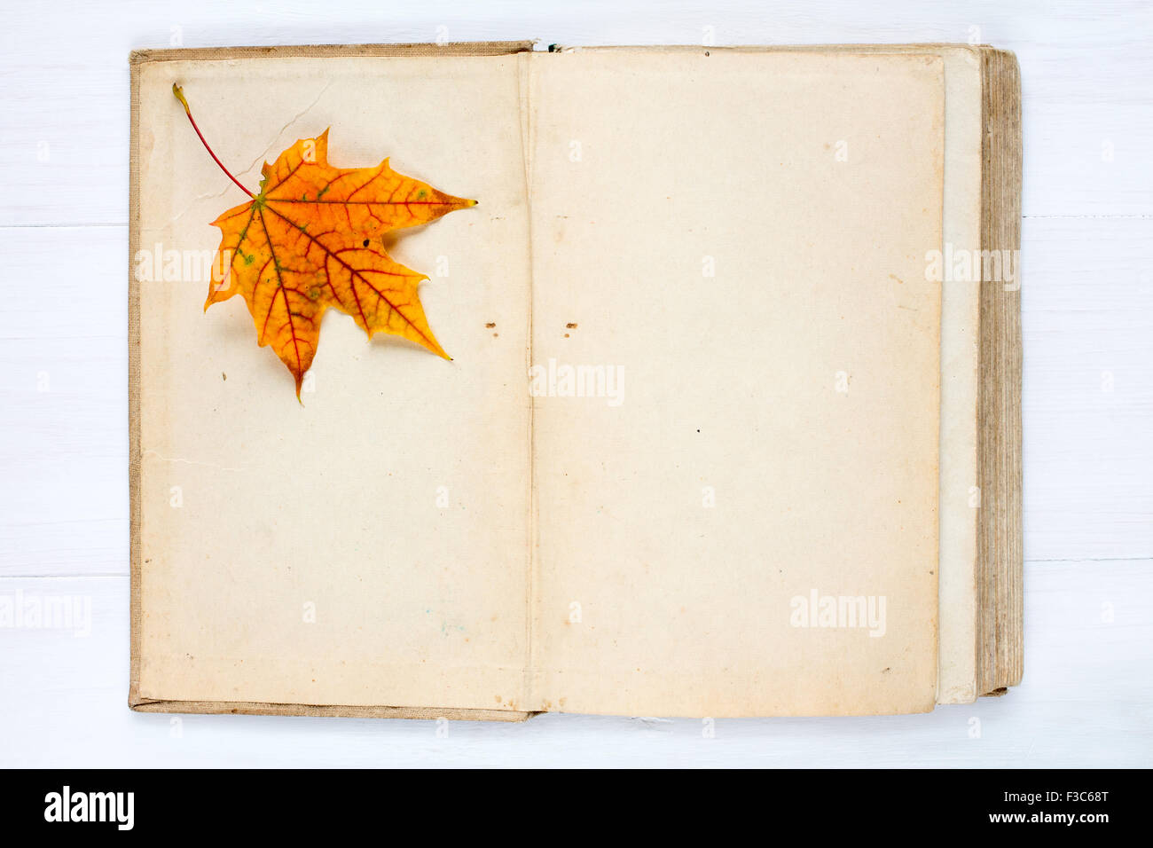 Old open book and autumn maple leaf Stock Photo