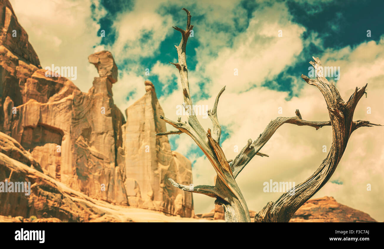 Retro old film style nature background with dry tree and red rocks, Arches NP, USA. Stock Photo
