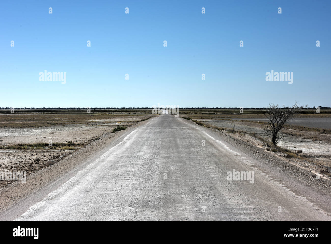 Road along the Etosha salt pan. It is a large endorheic salt pan ...