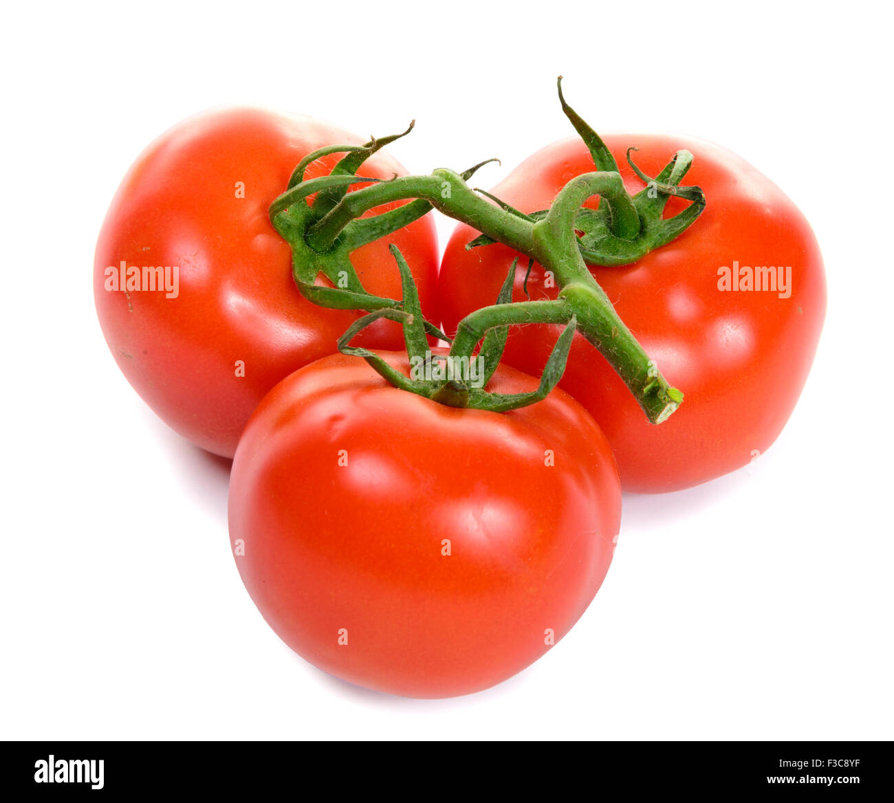 tomatoes isolated on white background Stock Photo - Alamy