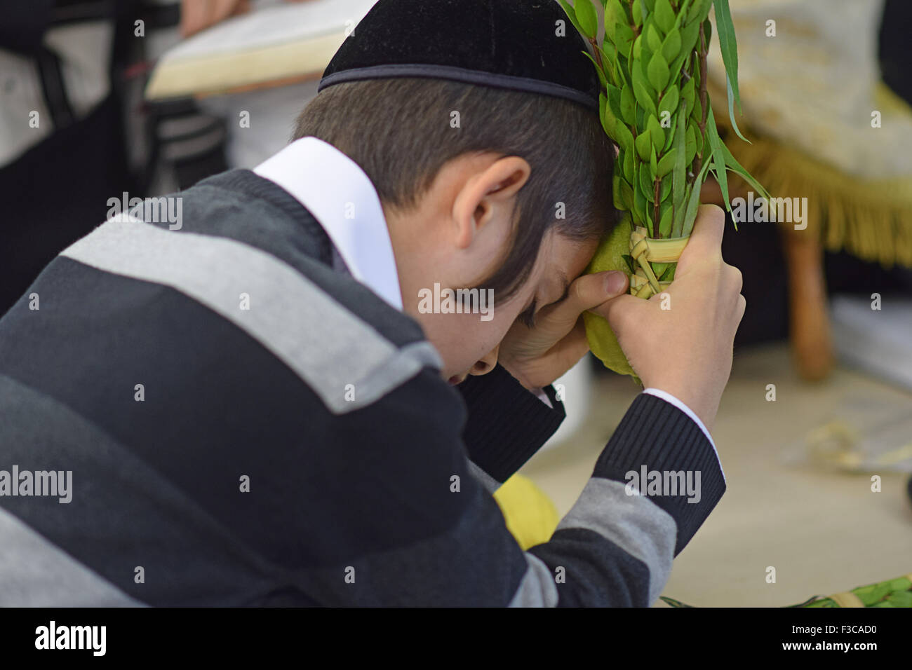 A young man holds an esrog and lulav during Sukkot morning services in a synagogue in Queens, New York Stock Photo