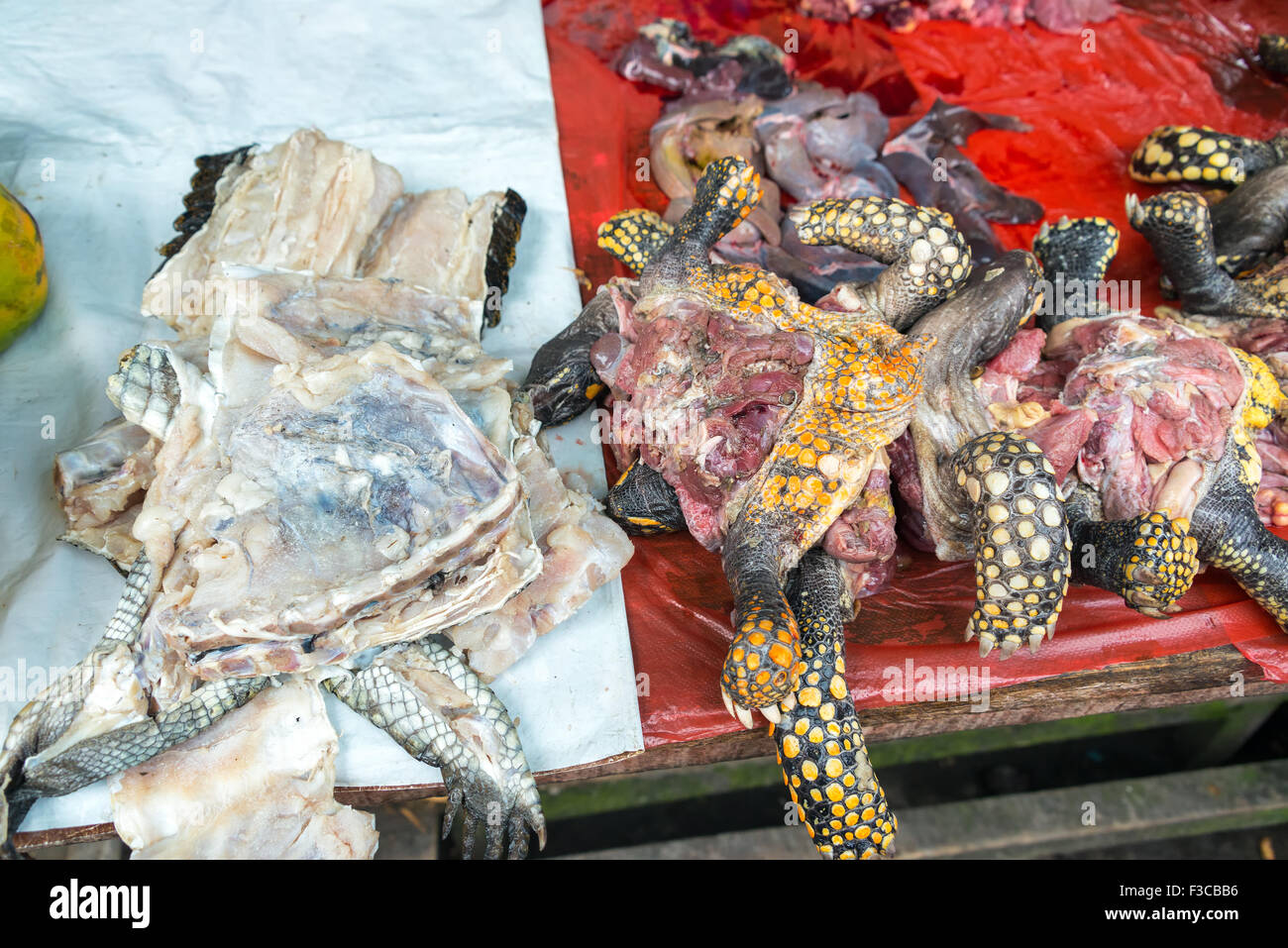 Turtle and Caiman meat in the Belen market in Iquitos, Peru Stock Photo