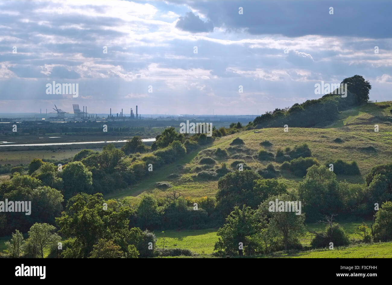 hadleigh country park, southend area, essex, england Stock Photo