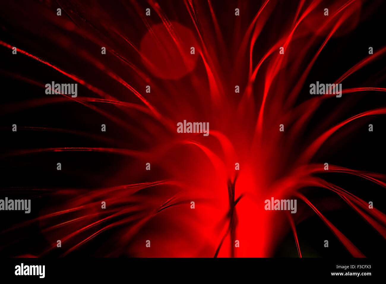 Fibre Optic Abstract Stock Photo - Alamy