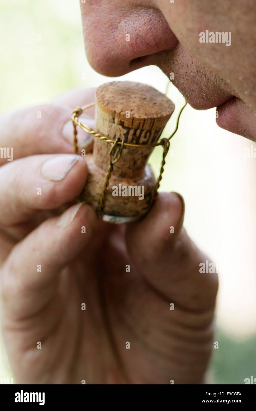 Wine connoisseur smelling cork, cropped Stock Photo