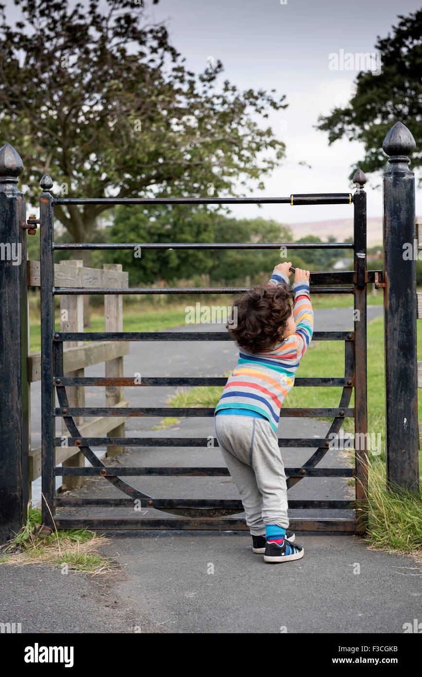 Three year old attempting to open heavy metal gate. Stock Photo