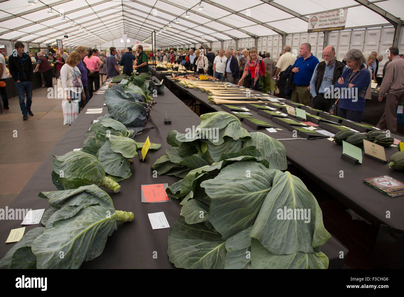 Harrogate Flower Show, North Yorkshire, England, UK. Part of the horticultural show is dedicated