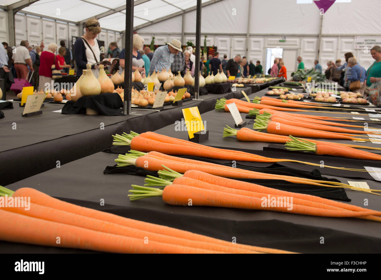 Harrogate Flower Show, North Yorkshire, England, UK. Part of the