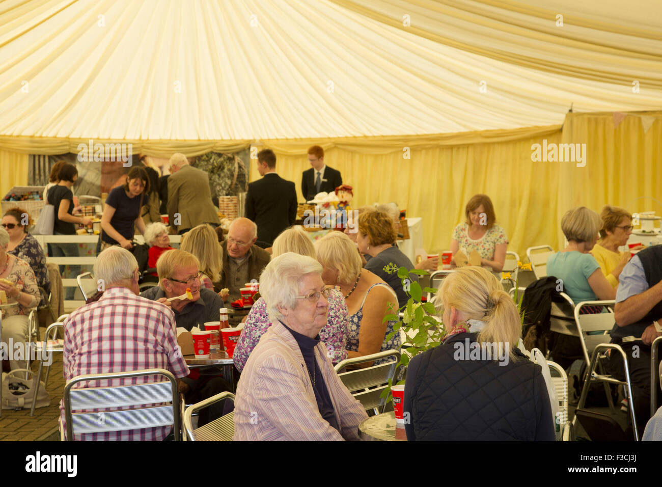 Harrogate Flower Show, North Yorkshire, England, UK. Stock Photo