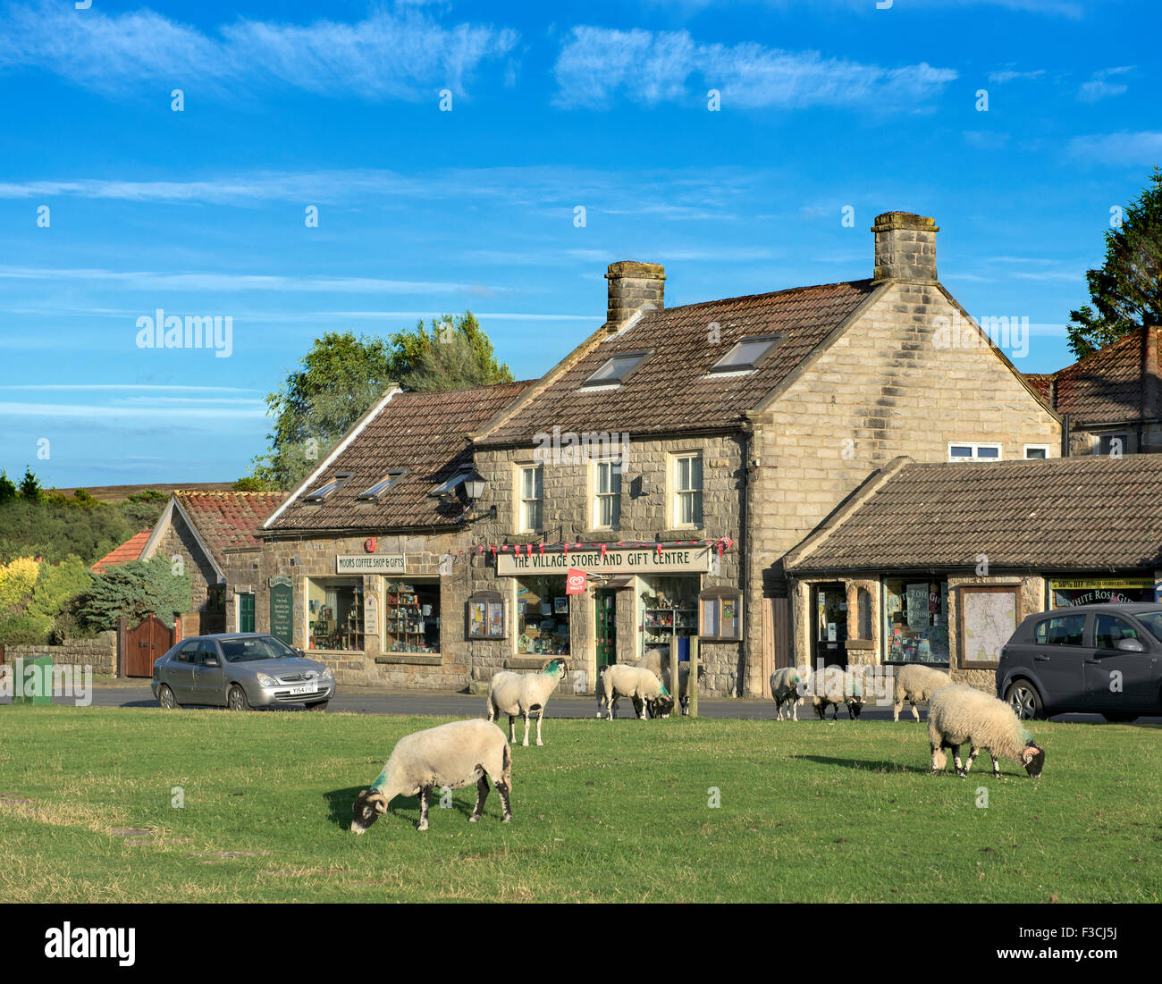 Village of Goathland which is well known for the sheep that have access to all public areas for common grazing. Stock Photo