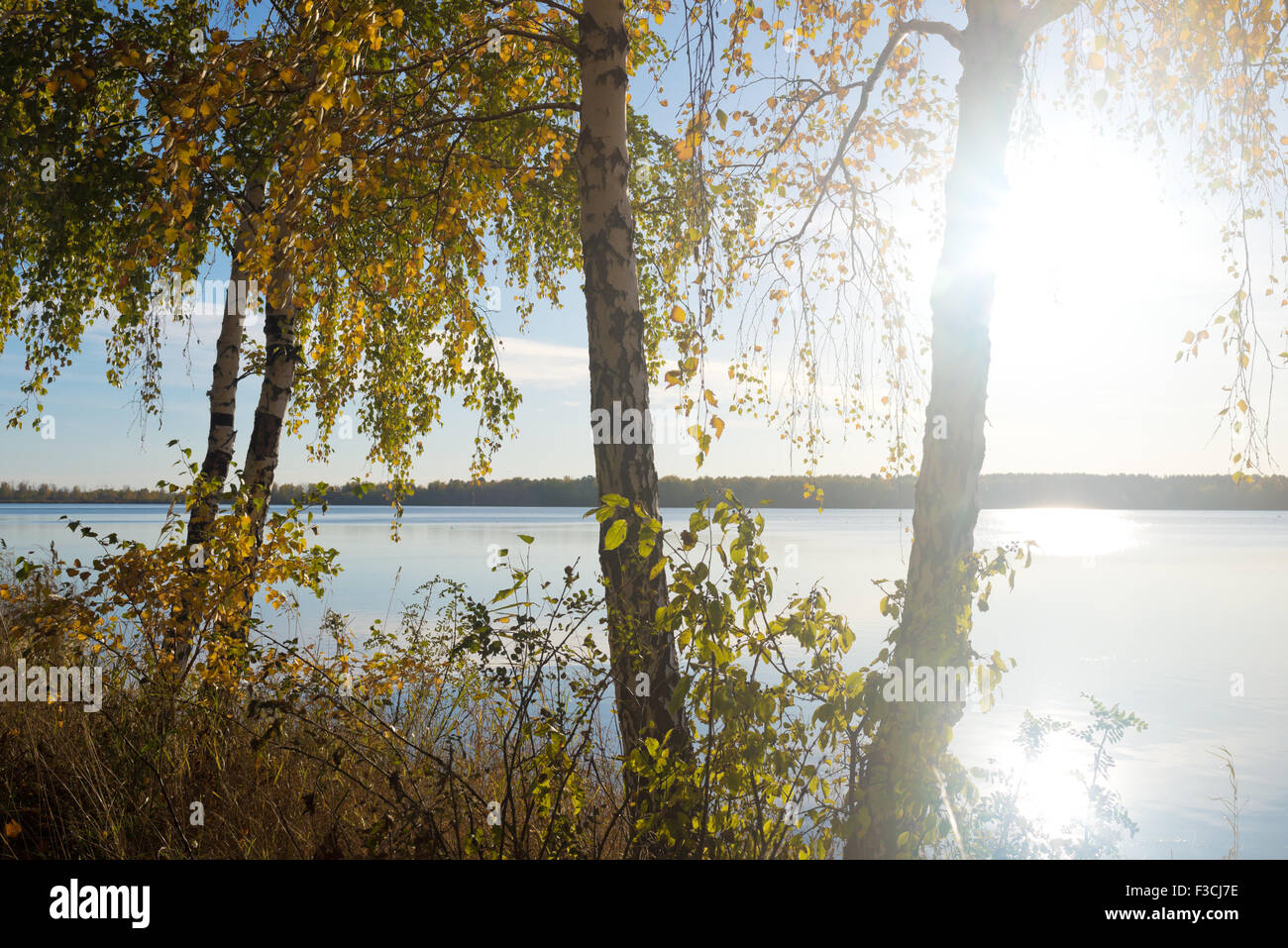 autumn lake landscape Stock Photo