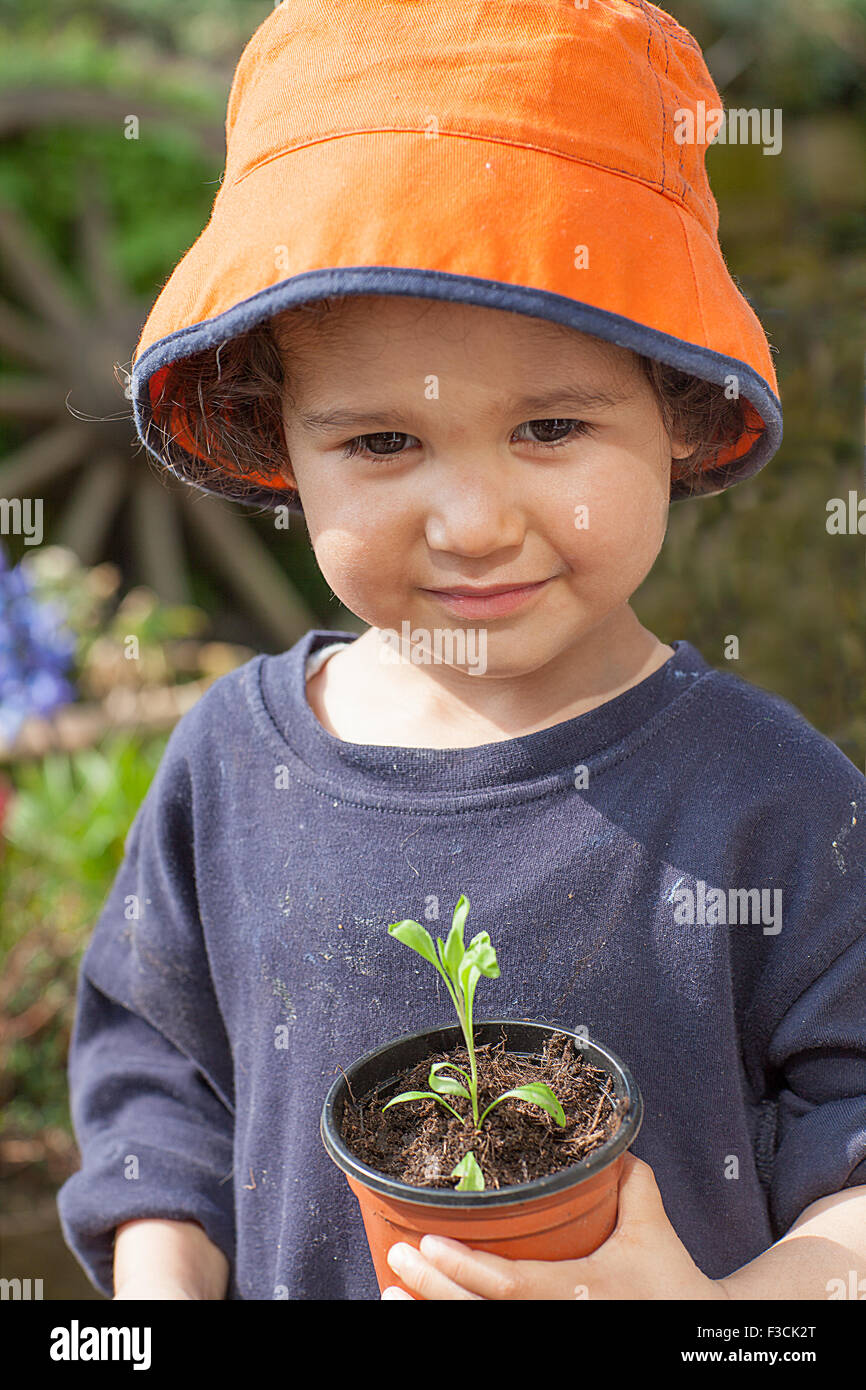 3 year old boy with seedling he had re-potted. Stock Photo