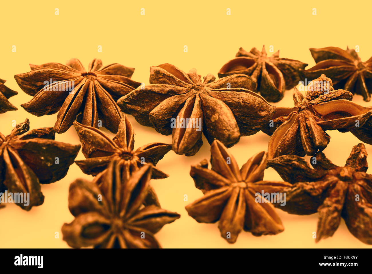 Anise stars on a white background Stock Photo
