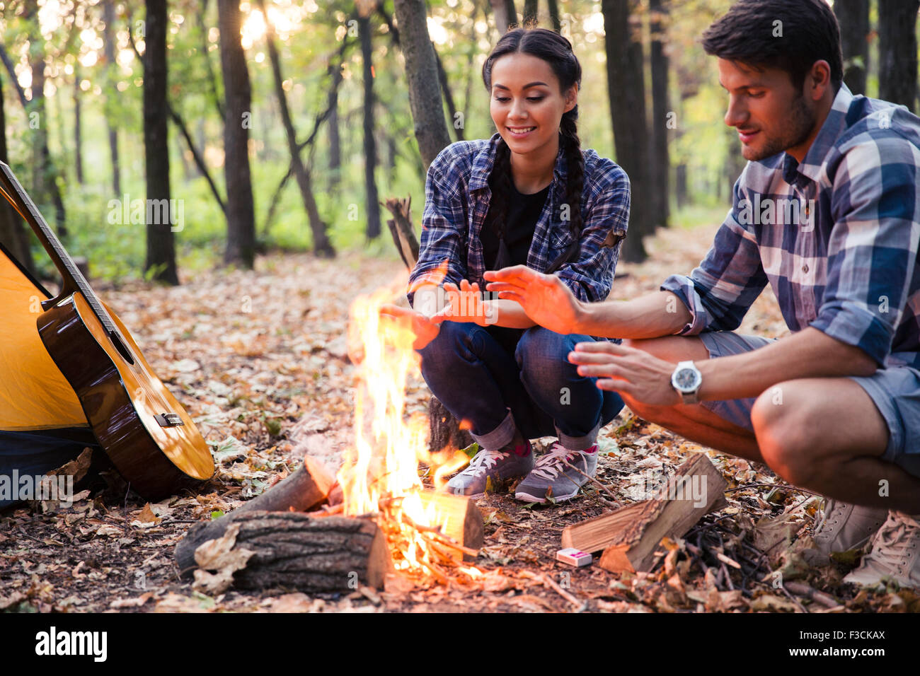 Epipremnum Pinnatum Yellow Flame Number Number 1 Stock Photo - Alamy