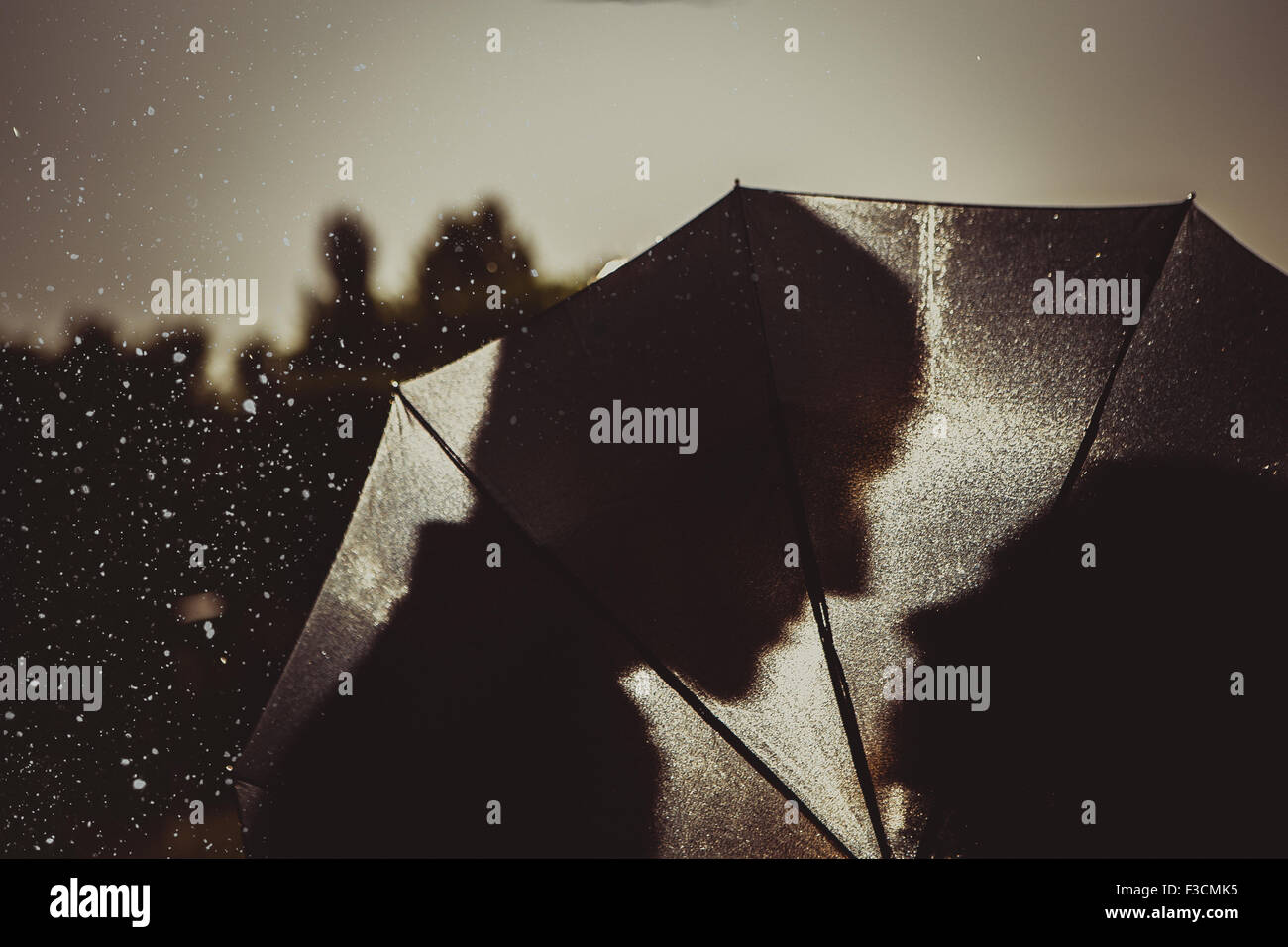 Love in the rain / Silhouette of kissing couple under umbrella Stock ...