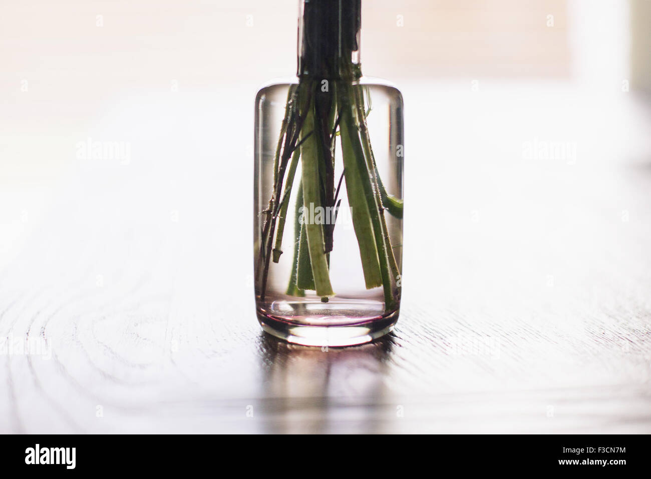 Stems in glass vase Stock Photo Alamy