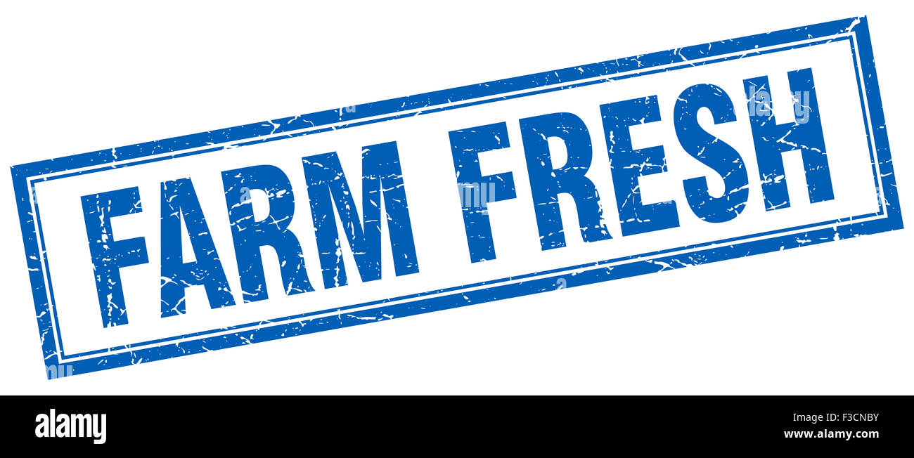 farm fresh blue square grunge stamp on white Stock Photo - Alamy