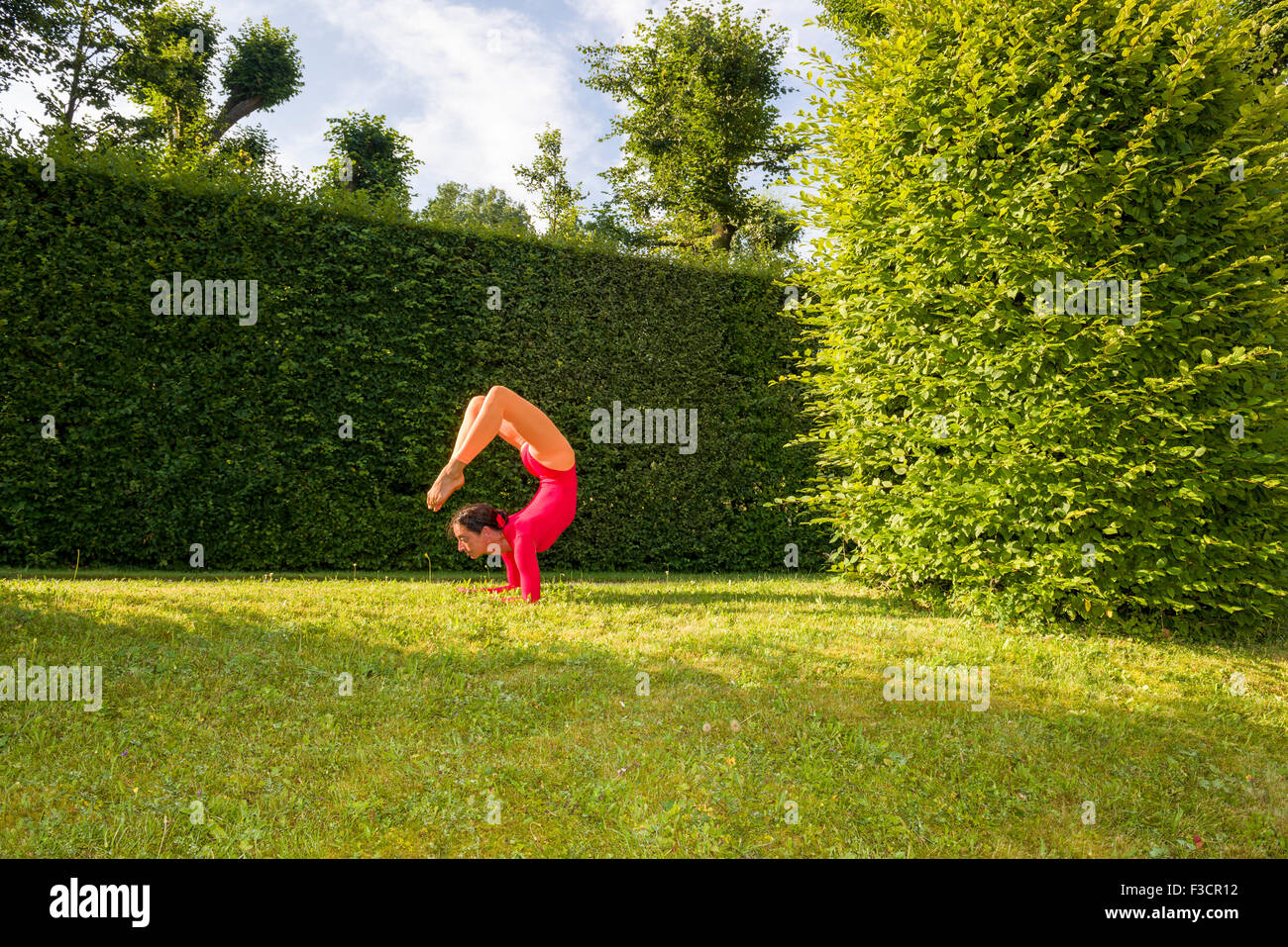 Young woman, wearing a red-orange body suit, is practising Hatha-Yoga outdoor between trees, showing the pose: vrischikasana, sc Stock Photo