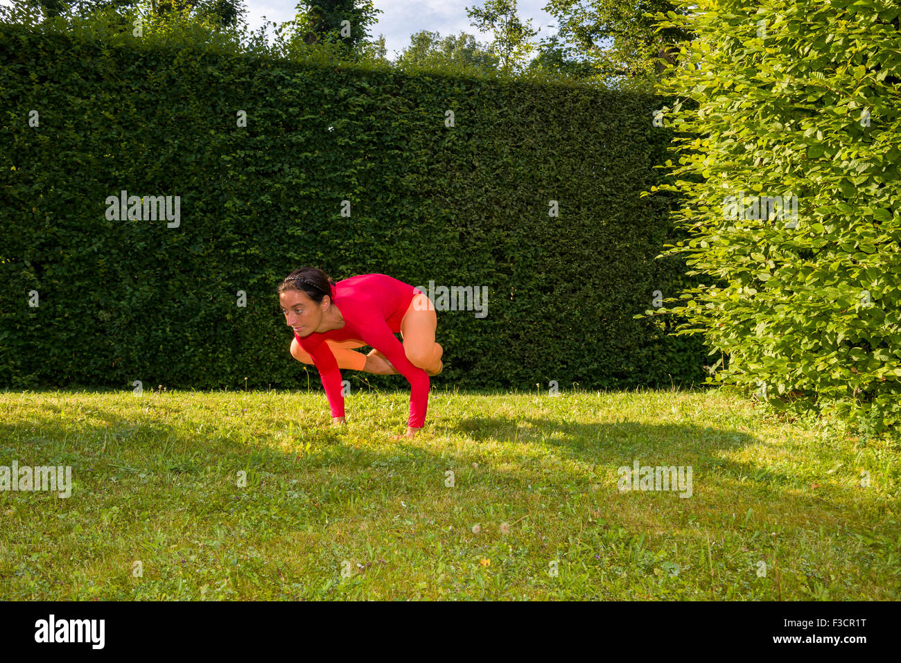 Young woman, wearing a red-orange body suit, is practising Hatha-Yoga outdoor between trees, showing the pose: kakasana / bakasa Stock Photo