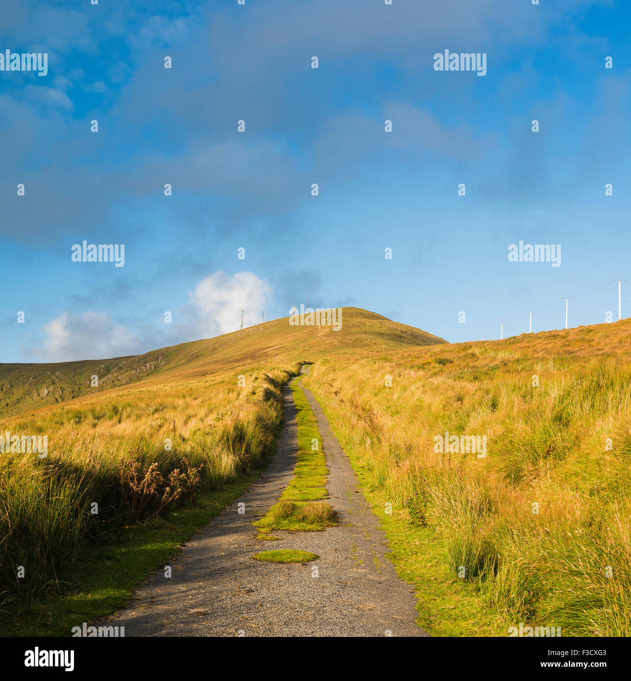 The track along the Beara Way walking path over Knockoura Hill between Allihies and Castletownbere, Beara, County Cork Stock Photo