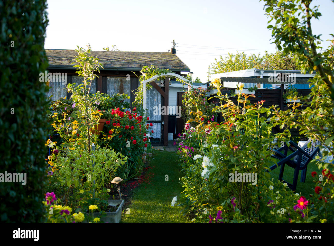 German Allotments or Community gardens Stock Photo