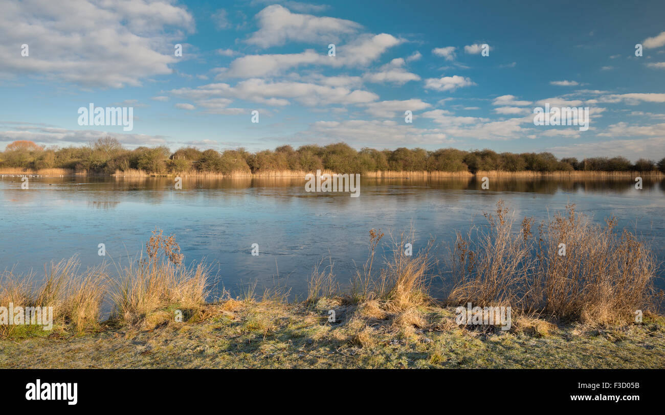 Eye Green Local Nature Reserve, Peterborough, Cambridgeshire, a former
