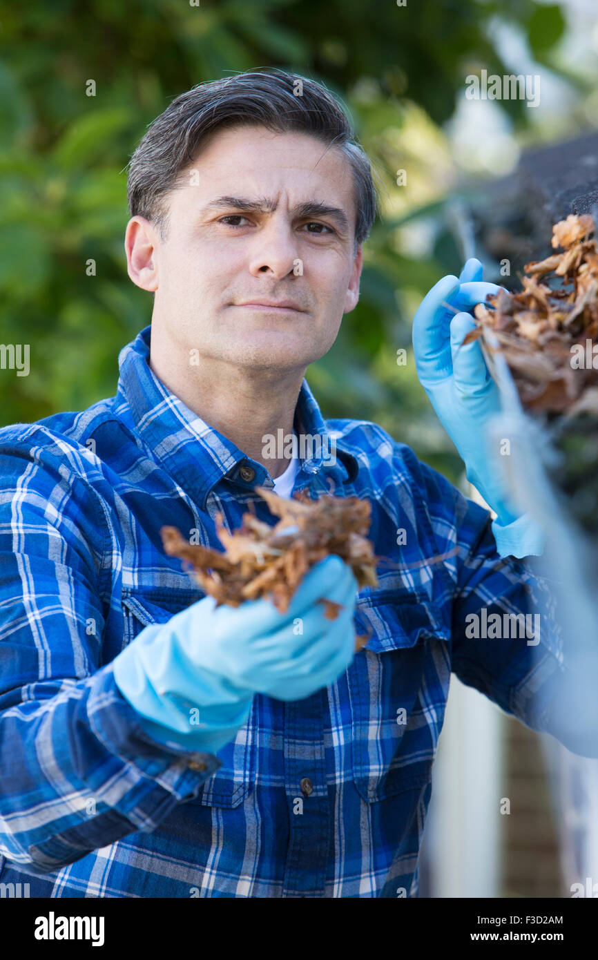 Man Clearing Leaves From Guttering Of House Stock Photo
