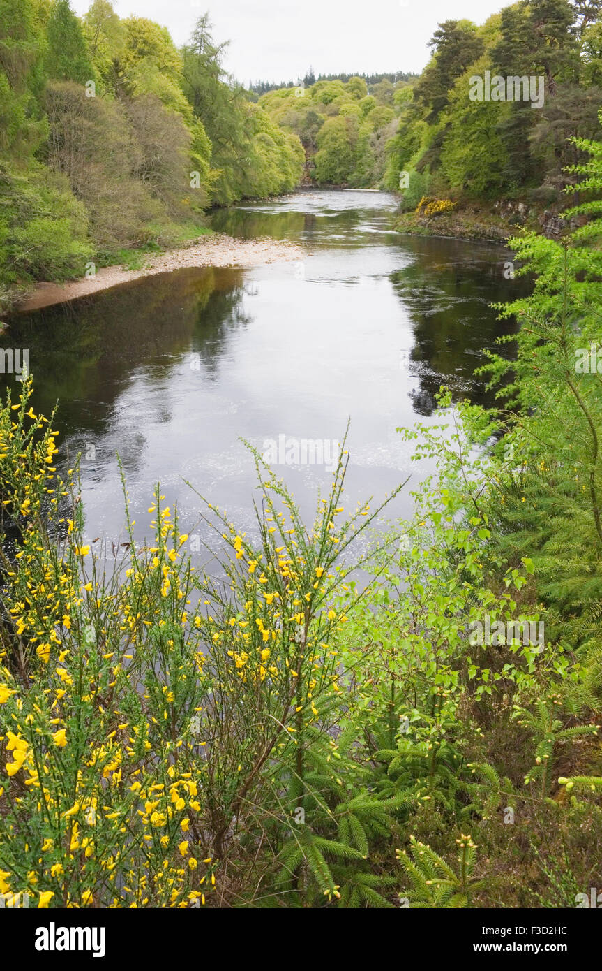 The River Findhorn in spring near Logie Steading, Moray, Scotland. Stock Photo