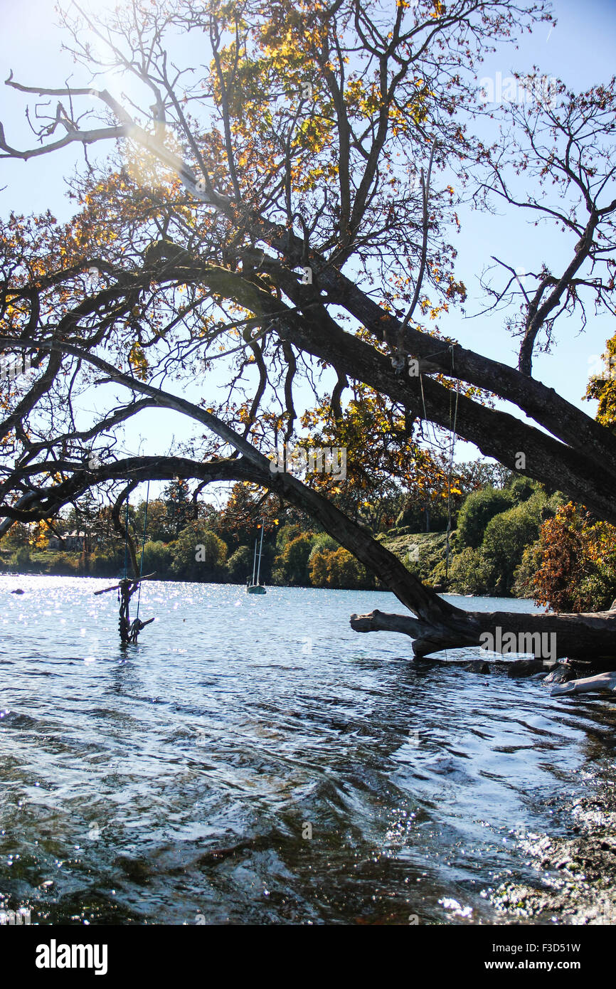 swing over water Stock Photo - Alamy