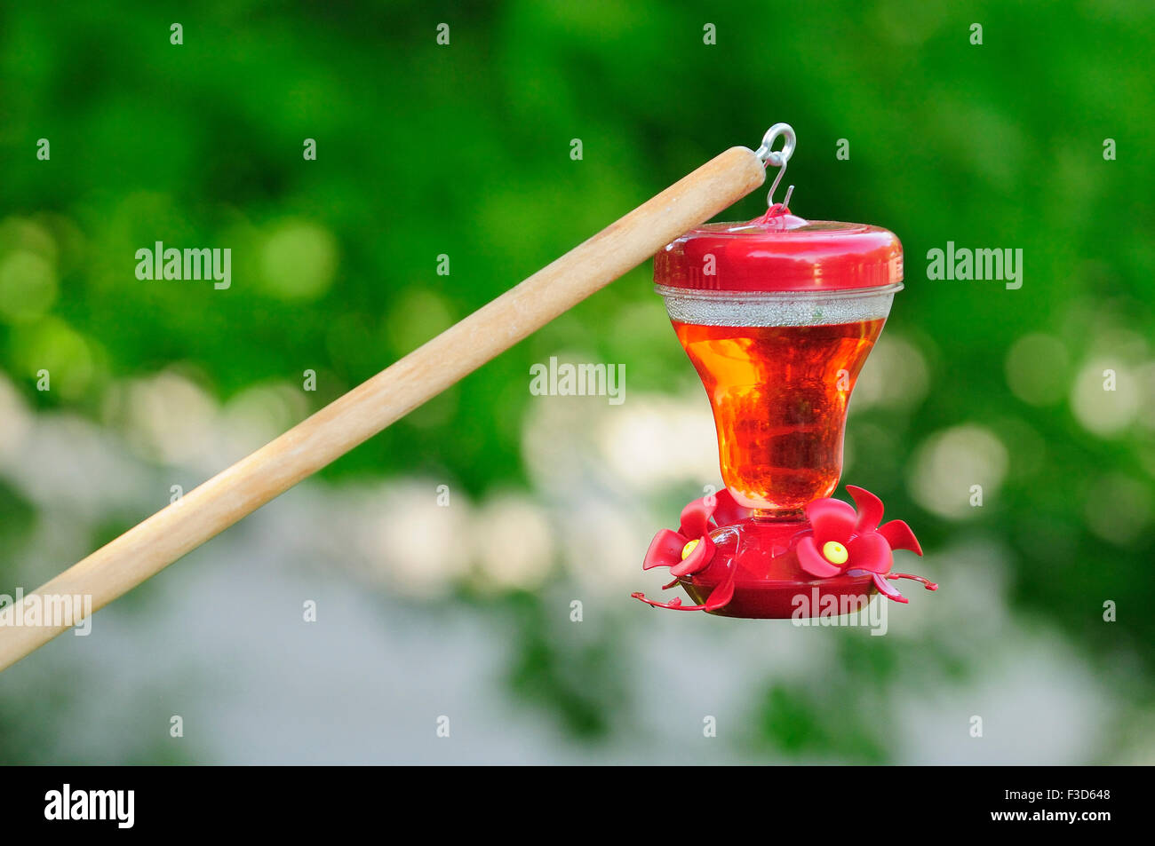 Hummingbird feeder hanging from tree post Stock Photo Alamy