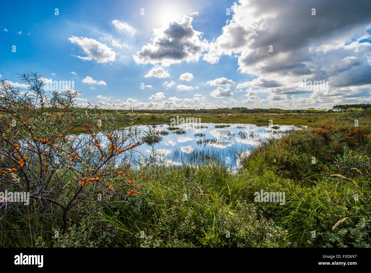 Peaceful lake in the dunes with the sun shining behind the clouds above. Stock Photo