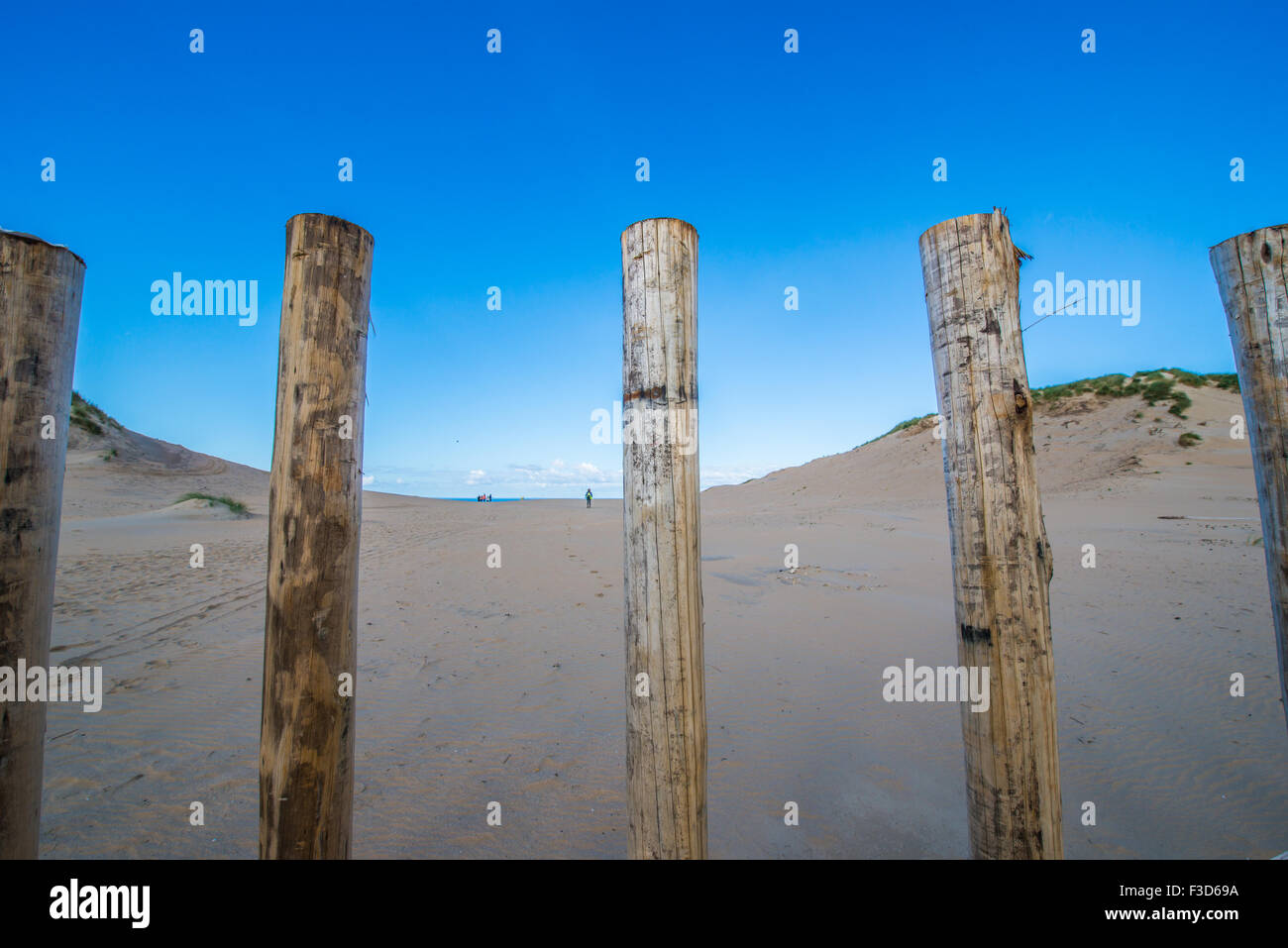 Wooden poles separating the dunes of the beach. Stock Photo