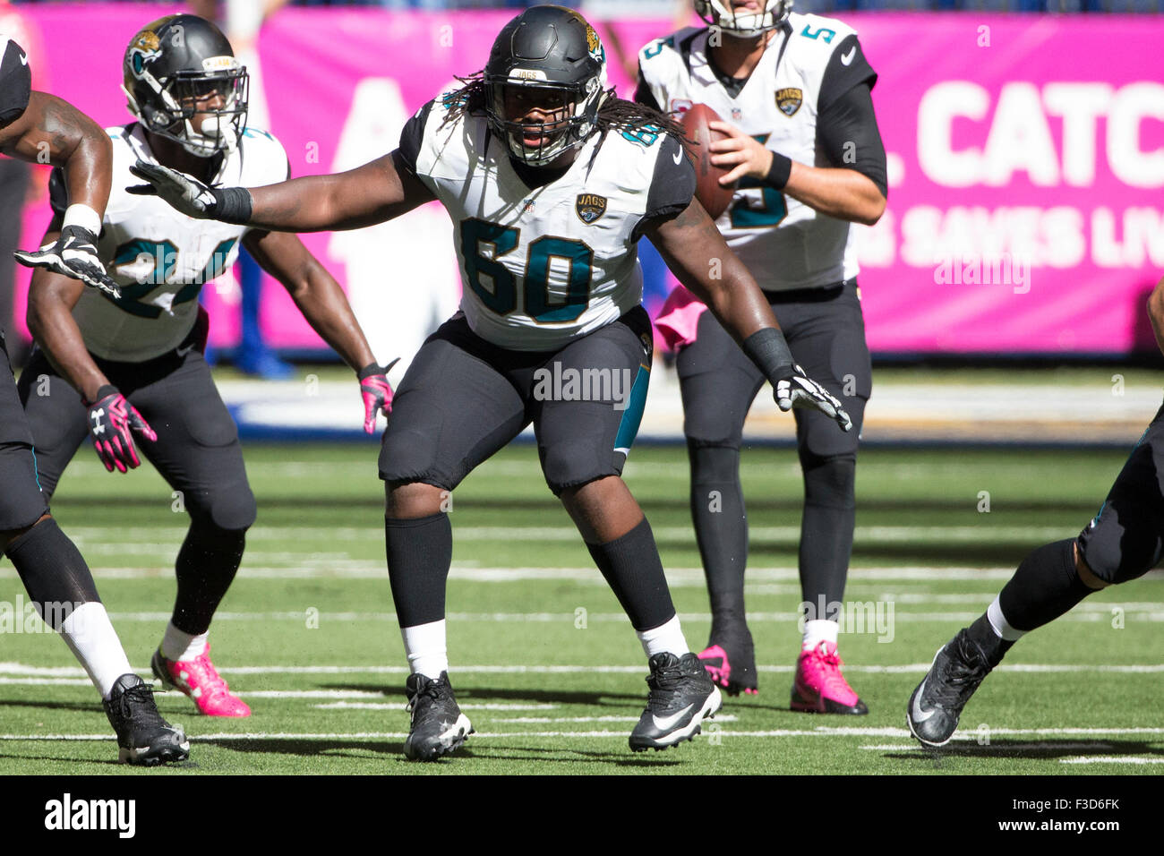 Jacksonville jaguars hi-res stock photography and images - Alamy