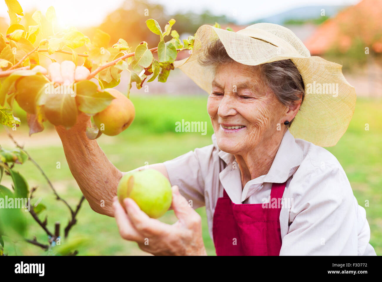 Senior woman in her garden Stock Photo - Alamy