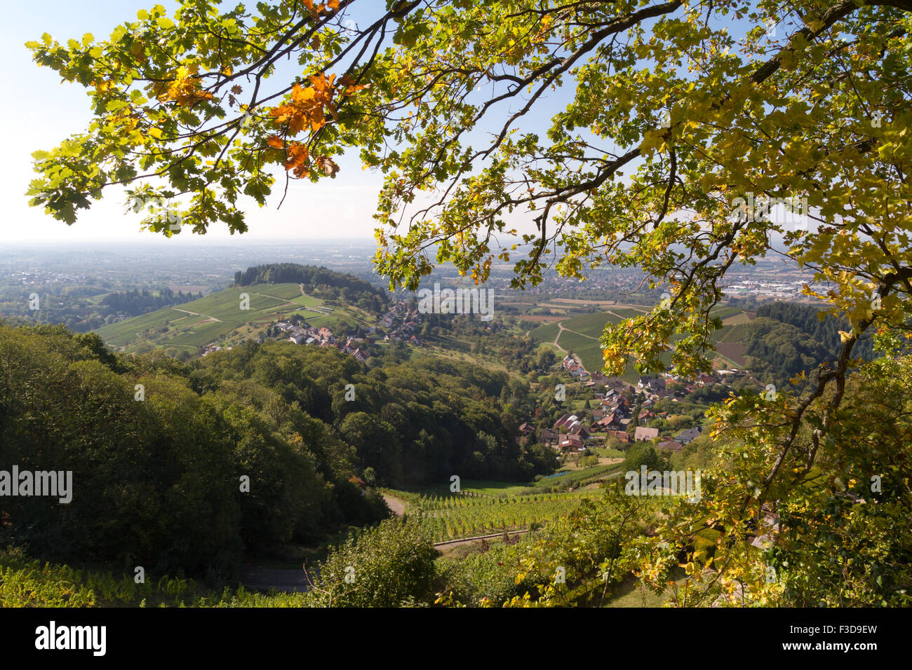 View from the castle ruins Neuwindeck in Buhl, Baden-Wurttemberg, Germany Stock Photo