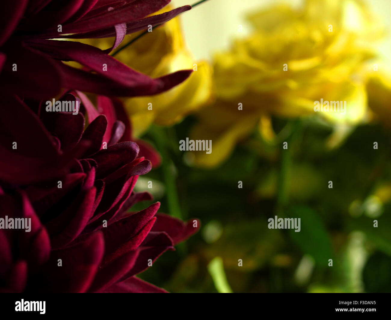 Purple and yellow fake flowers Stock Photo Alamy