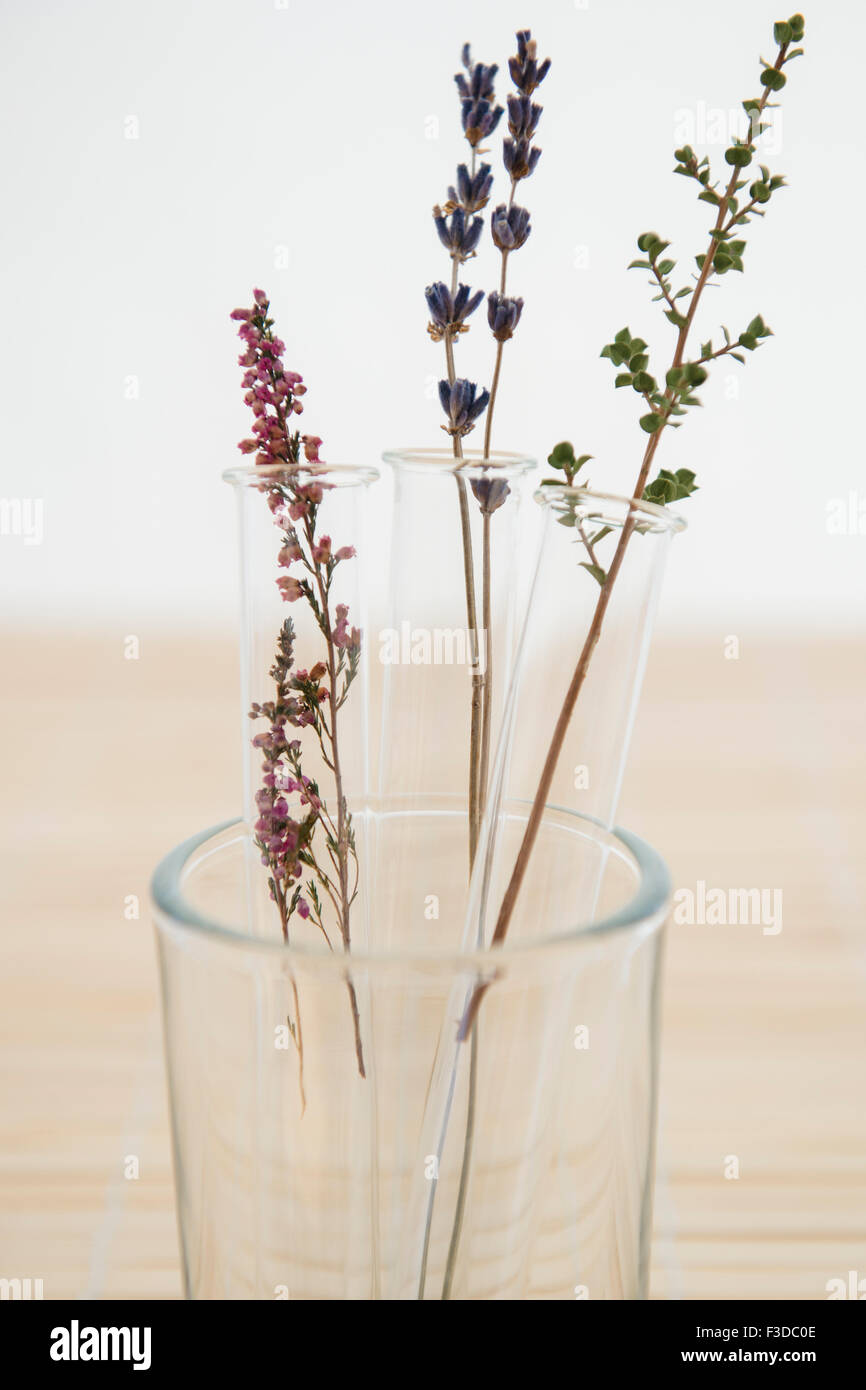 Lavender in vase Stock Photo Alamy