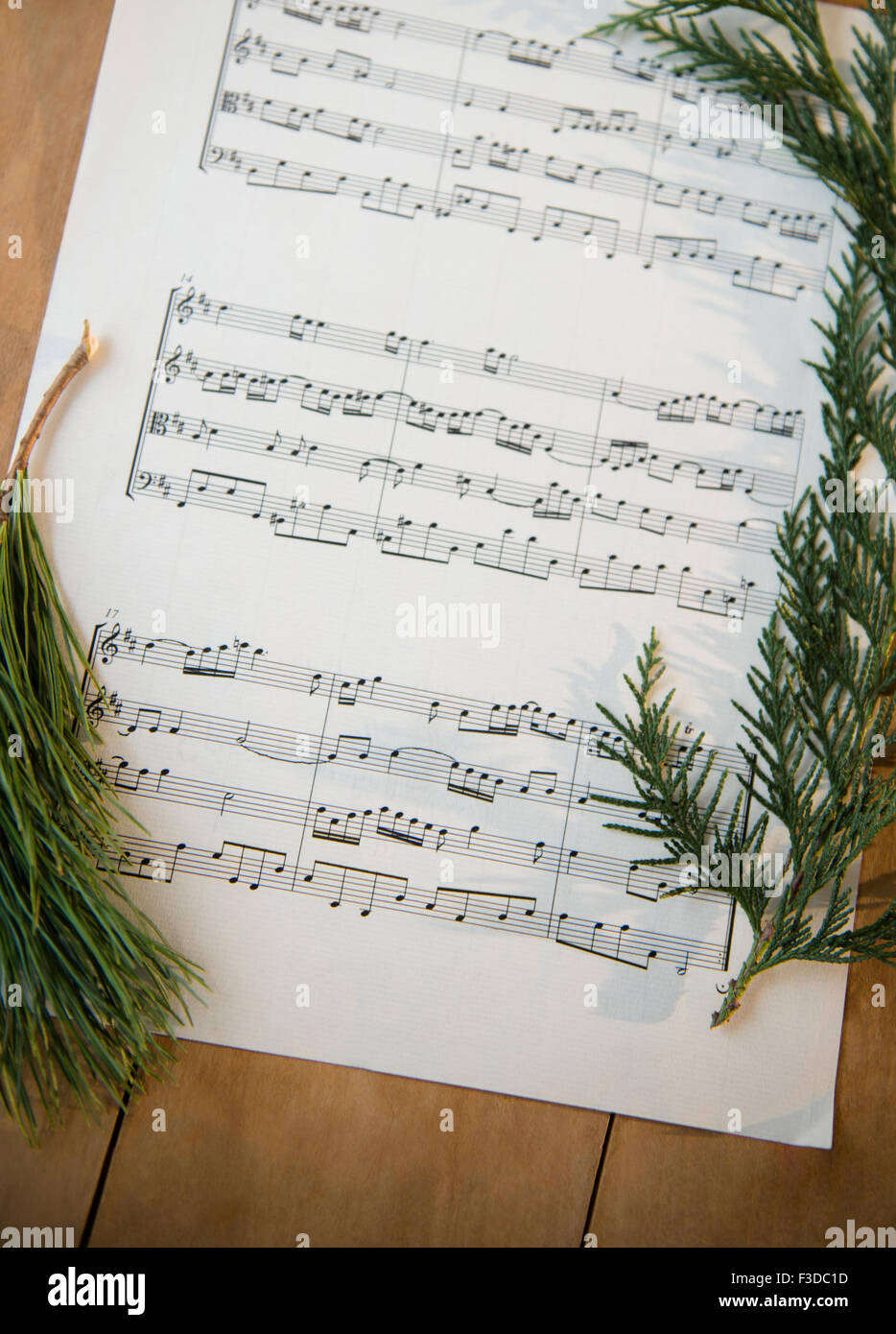 Note sheet and coniferous twigs on wood Stock Photo