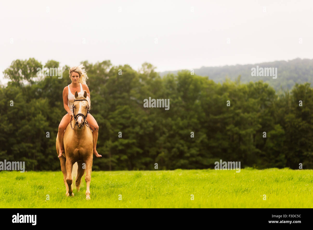 Woman horseback riding in countryside Stock Photo Alamy