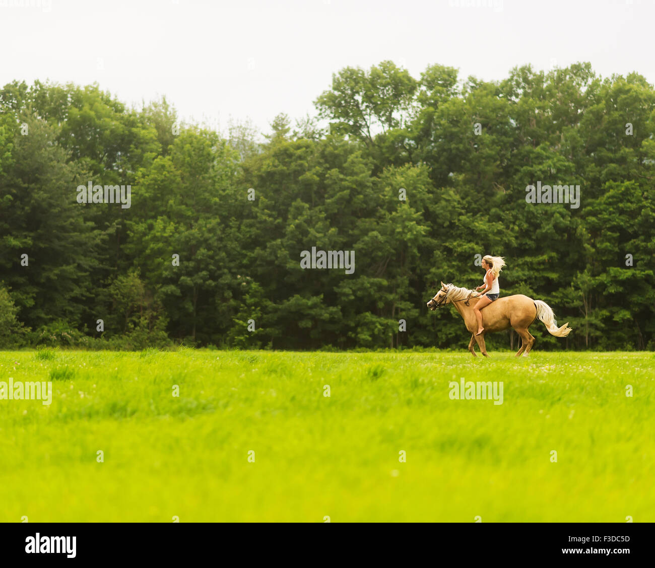 Woman horseback riding in countryside Stock Photo Alamy
