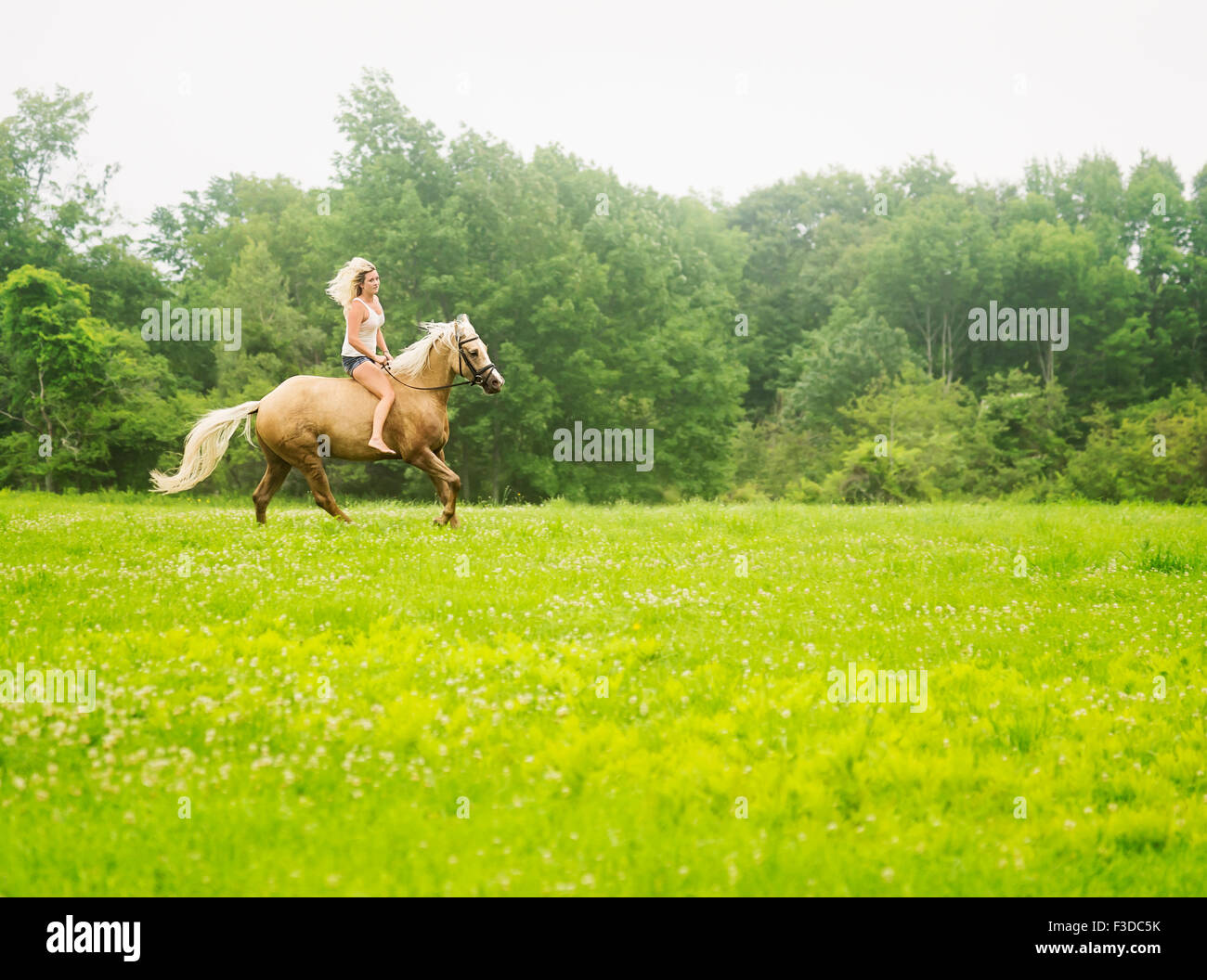 Woman horseback riding in countryside Stock Photo Alamy