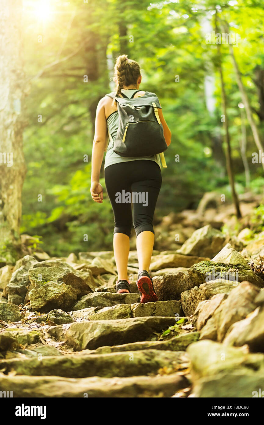 Rear view of female hiker in forest Stock Photo - Alamy