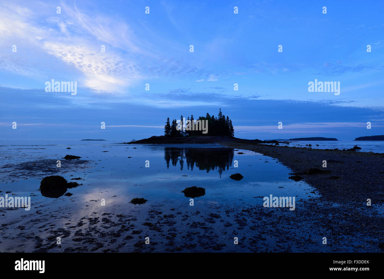 Low tide at Owls Head at dawn Stock Photo Alamy