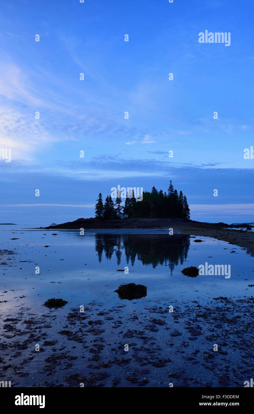 Low tide at Owls Head at dawn Stock Photo Alamy