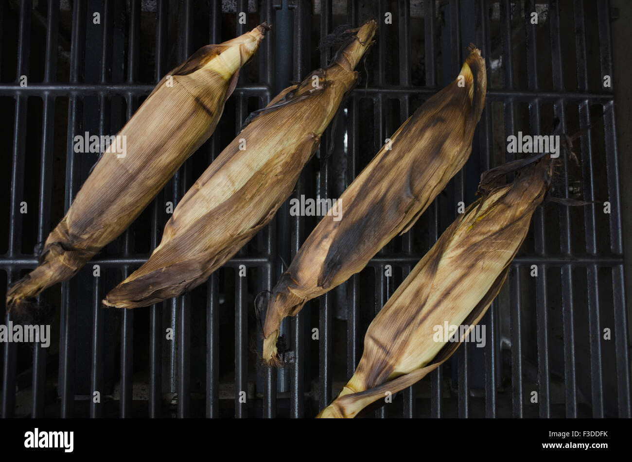 Directly above view of corncobs on barbecue Stock Photo