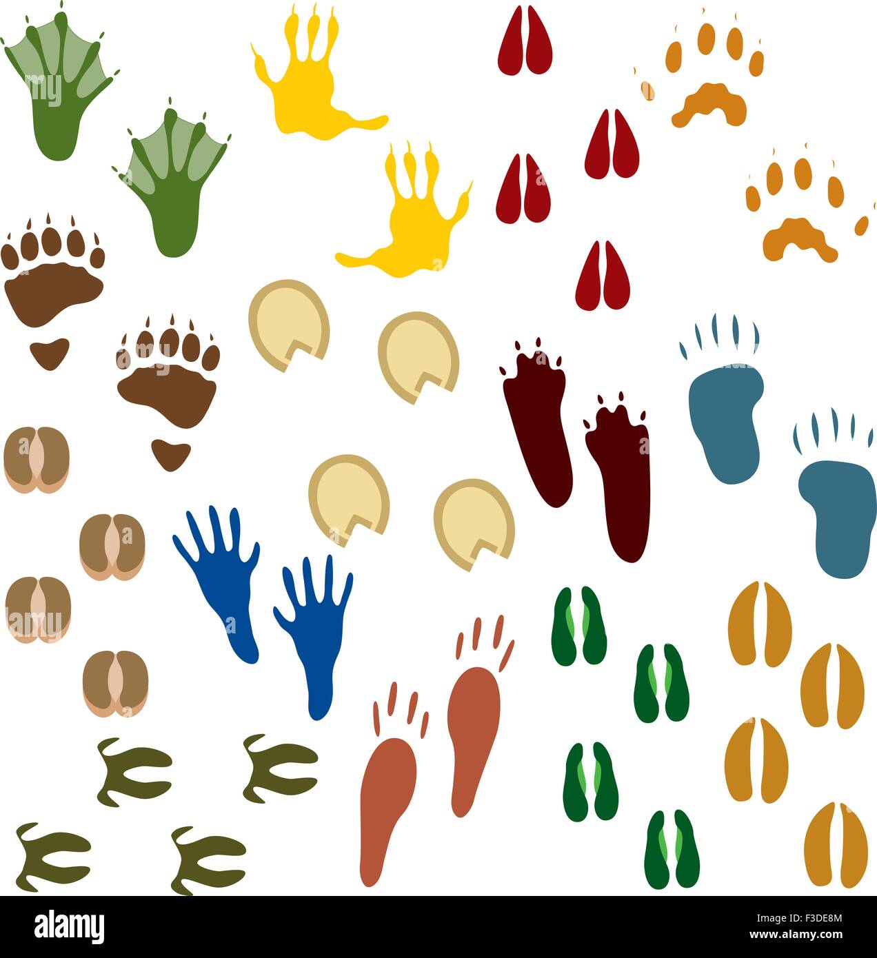 Fourteen Sets of Animal Tracks, change the colors as you like SS 2492809 SS 3505299 Stock Vector