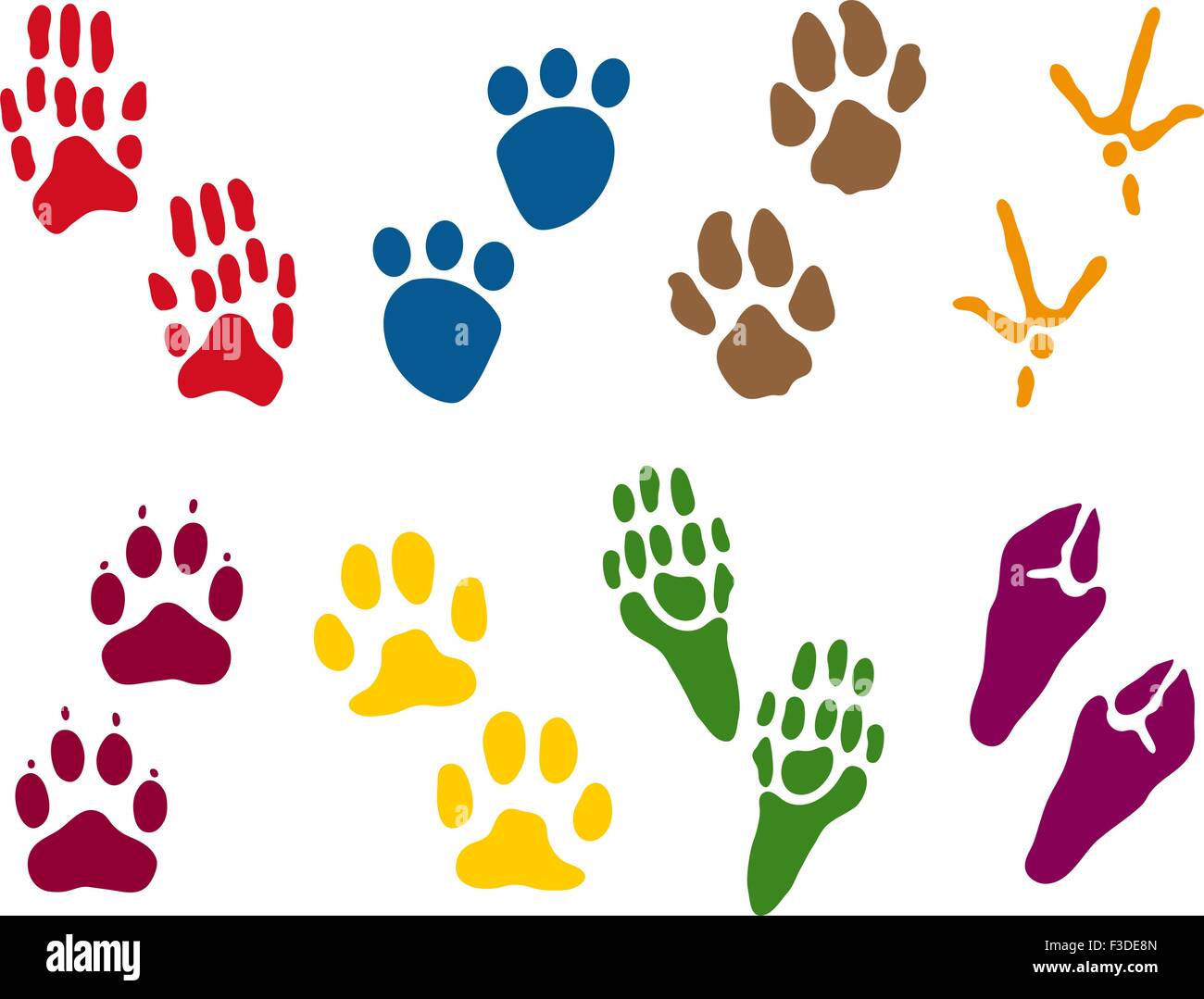 Eight sets of Animal Tracks SS 1538686 SS 3505299 jpg IS 1887991 Stock Vector