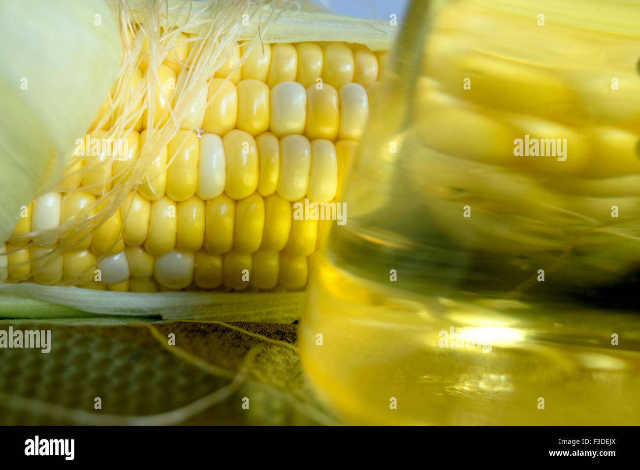 corn and corn oil Stock Photo