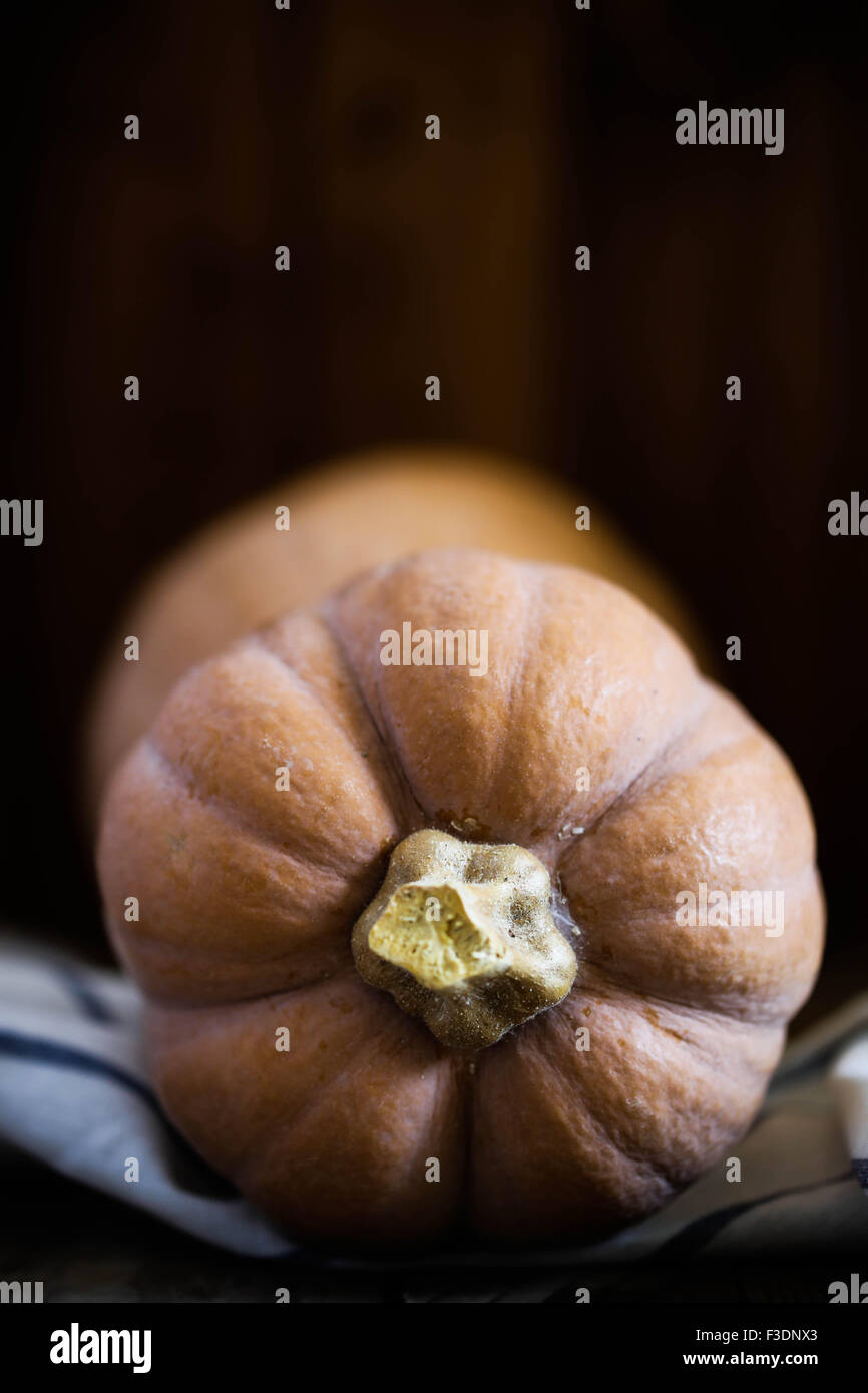 A butternut squash Stock Photo Alamy