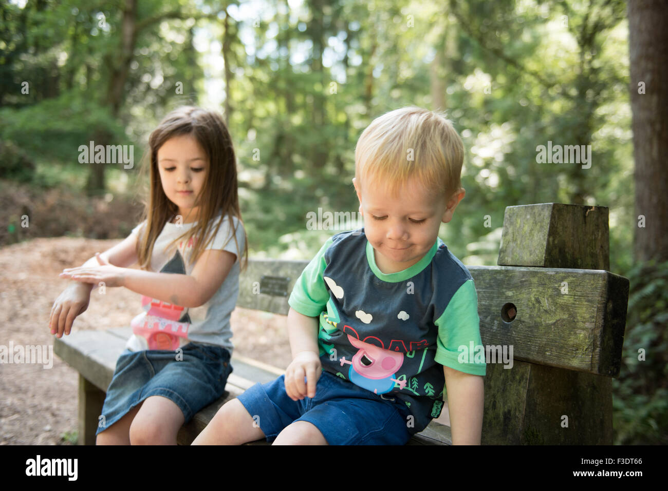 Brother and Sister in Park putting on suntan lotion Stock Photo